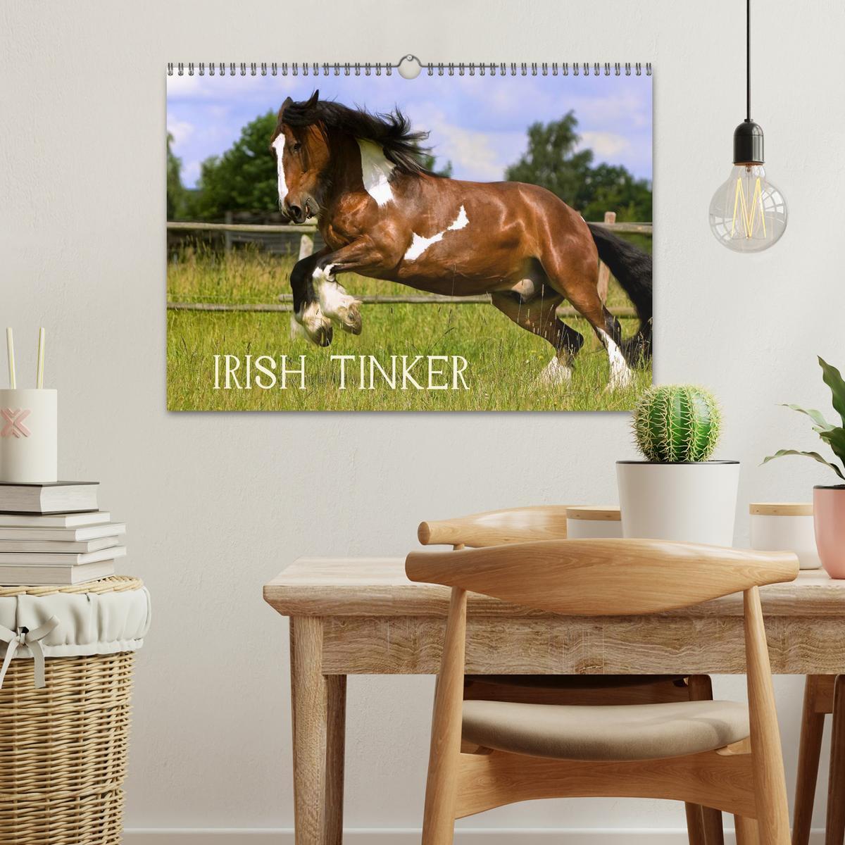 Bild: 9783435747764 | Irish Tinker (Wandkalender 2025 DIN A3 quer), CALVENDO Monatskalender