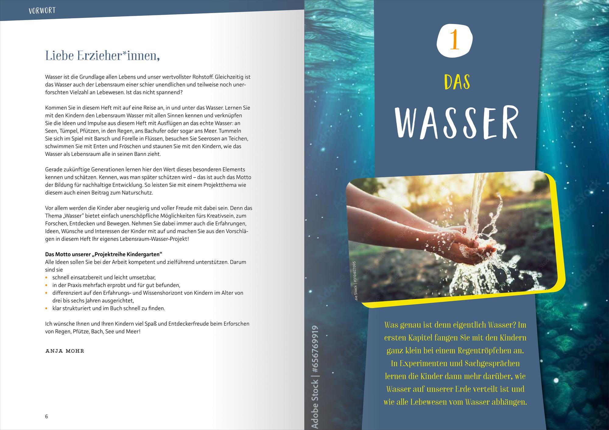 Bild: 9783780651990 | Projektreihe Kindergarten - Lebensraum Wasser | Anja Mohr | Buch