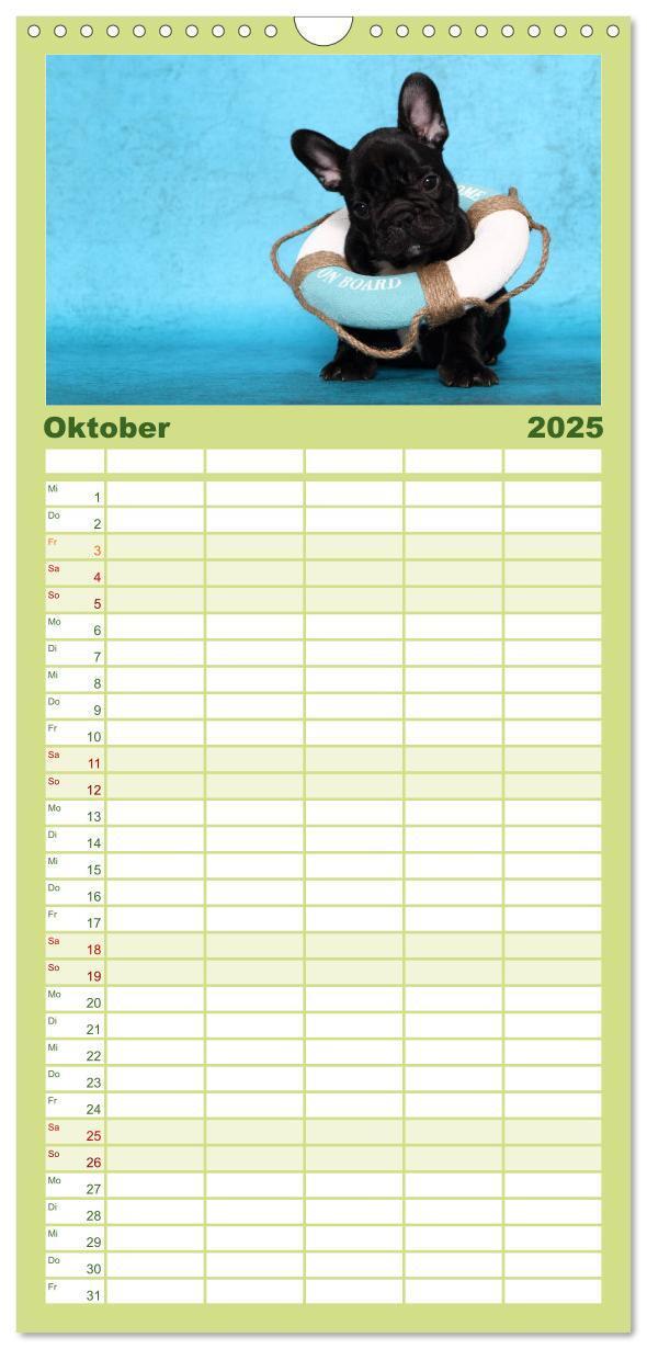 Bild: 9783457111284 | Familienplaner 2025 - Der Bully - Kalender Familienplaner hoch mit...