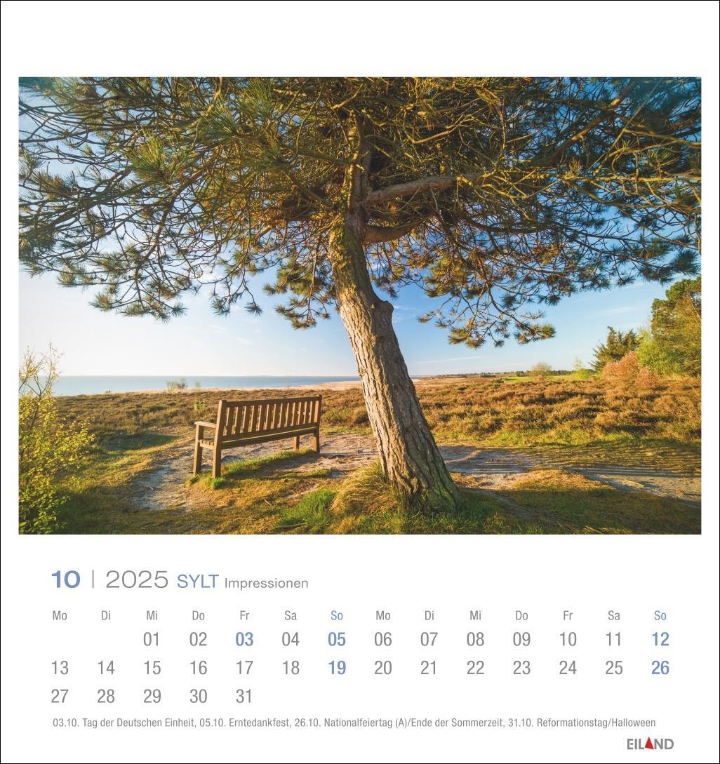 Bild: 9783964023353 | Sylt Impressionen Postkartenkalender 2025 | Hans Jessel | Kalender