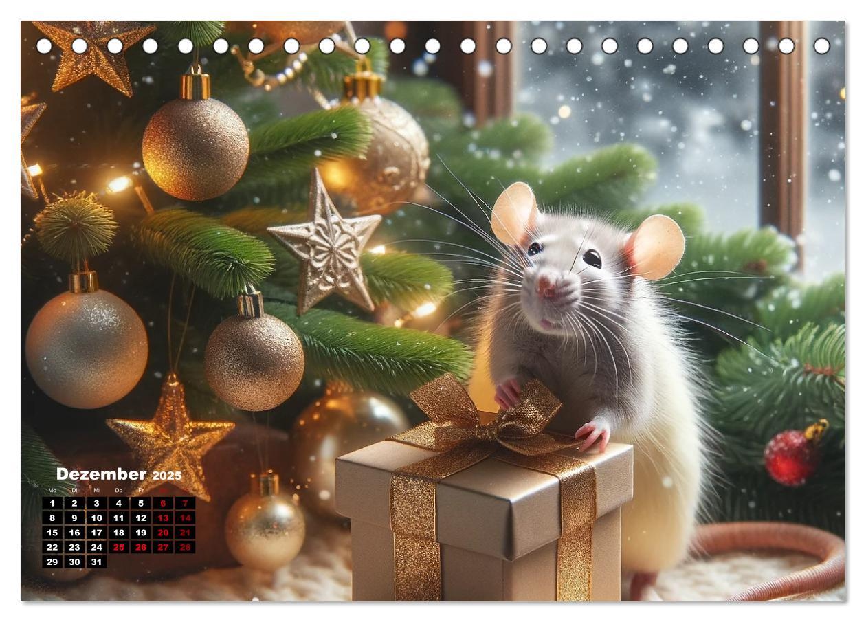 Bild: 9783383842221 | Lustige Ratten (Tischkalender 2025 DIN A5 quer), CALVENDO...