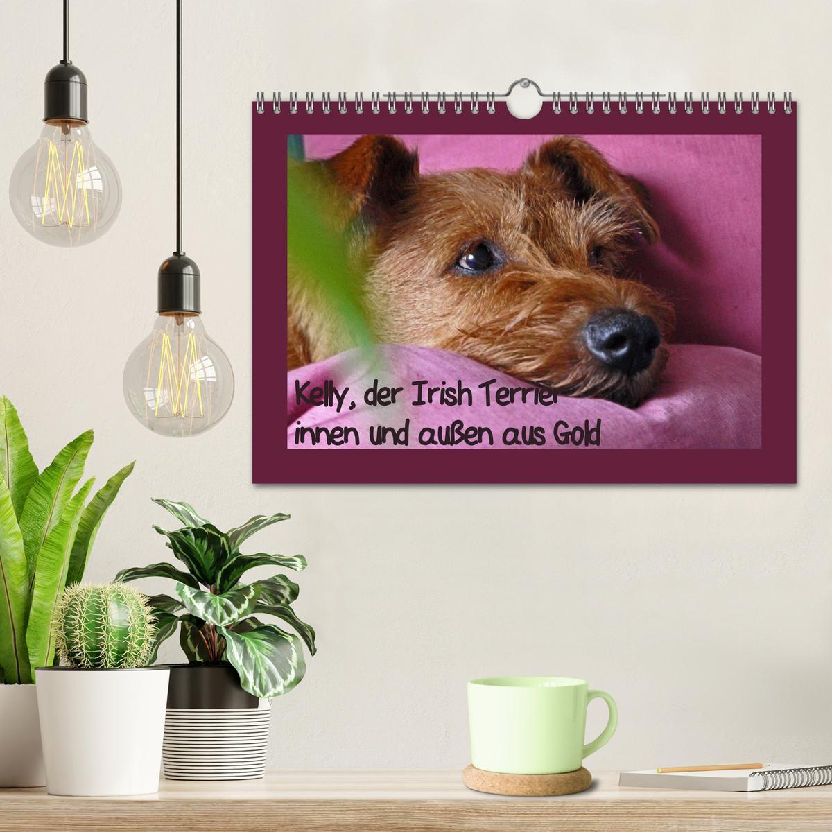 Bild: 9783435286973 | Kelly, der Irish Terrier - innen und außen aus Gold (Wandkalender...