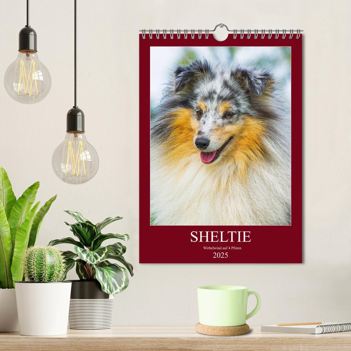 Bild: 9783435960545 | Sheltie - Wirbelwind auf 4 Pfoten (Wandkalender 2025 DIN A4 hoch),...