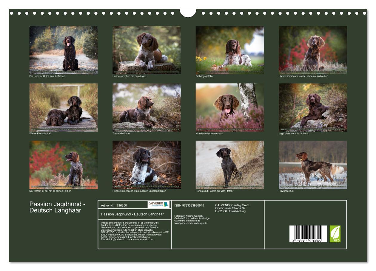 Bild: 9783383930645 | Passion Jagdhund - Deutsch Langhaar (Wandkalender 2025 DIN A3...