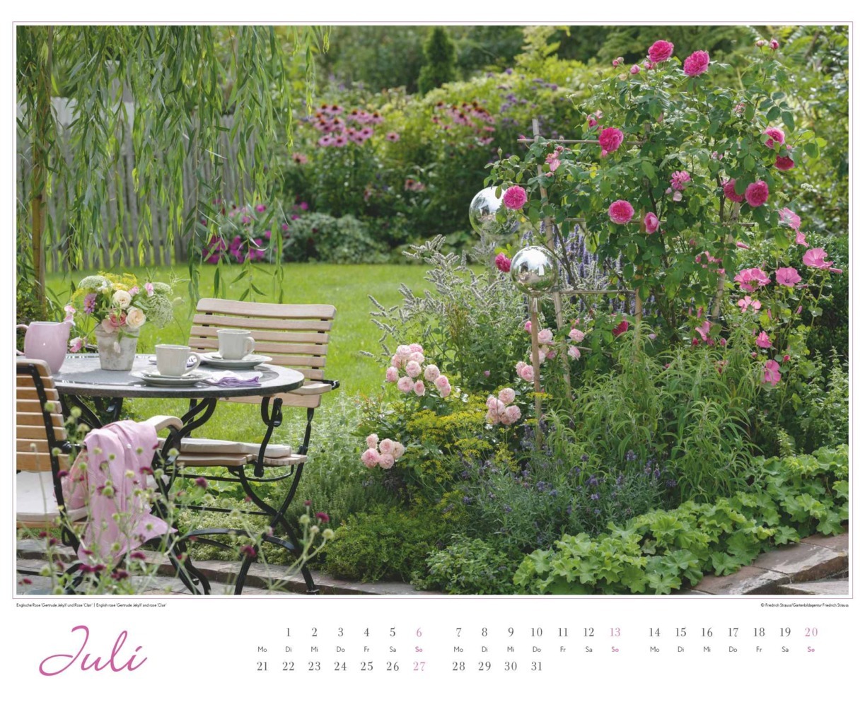 Bild: 4250809653457 | DUMONT - Im Rosengarten 2025 Wandkalender, 52x42,5cm,...