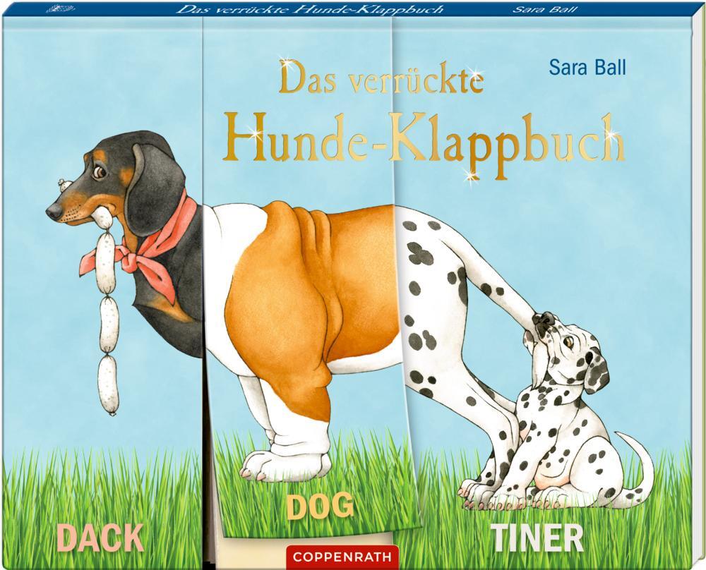 Cover: 9783649641995 | Das verrückte Hunde-Klappbuch | Dr. Stefanie Zysk | Buch | 26 S.