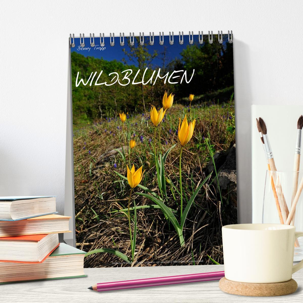 Bild: 9783457067307 | WILDBLUMEN (Tischkalender 2025 DIN A5 hoch), CALVENDO Monatskalender