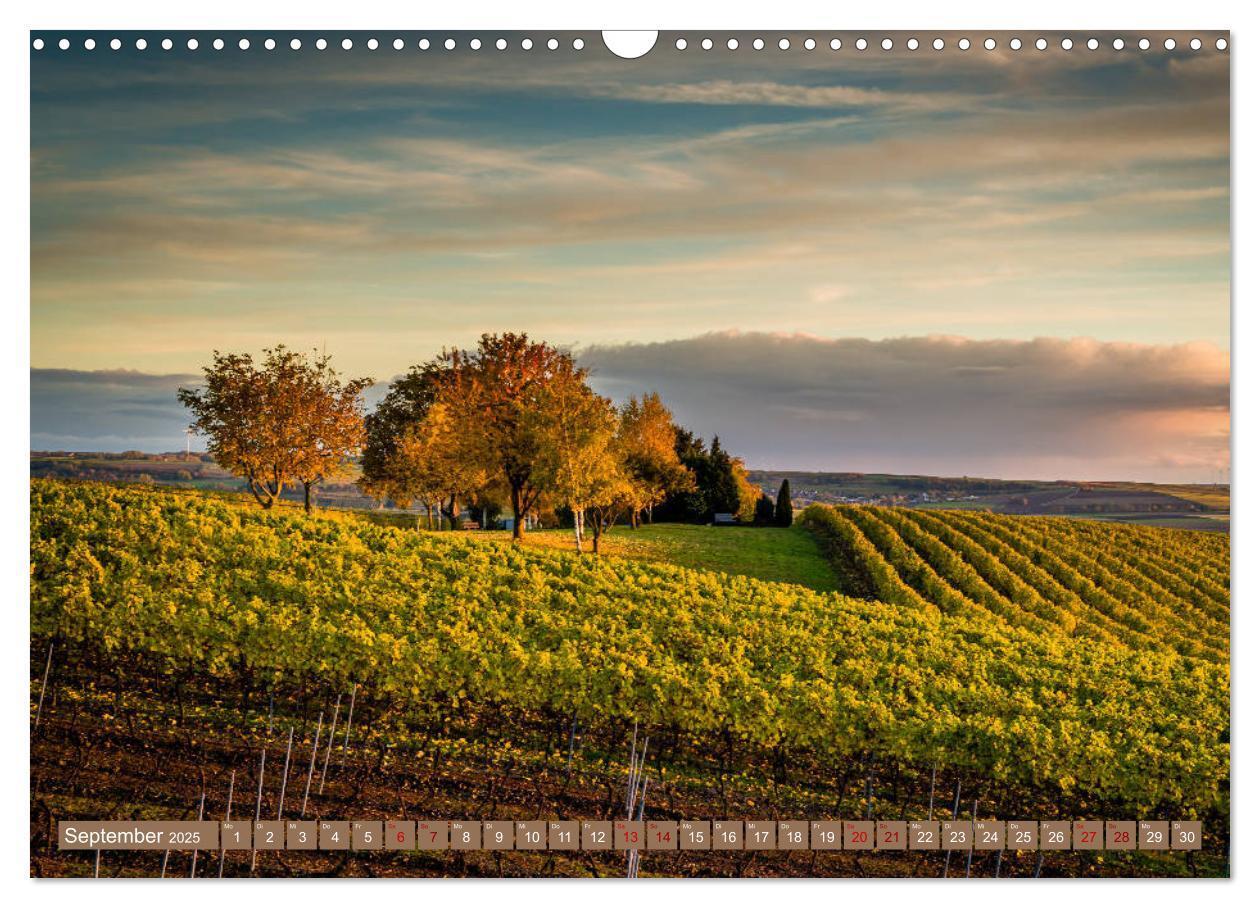 Bild: 9783435388905 | Rheinhessen-Impressionen (Wandkalender 2025 DIN A3 quer), CALVENDO...