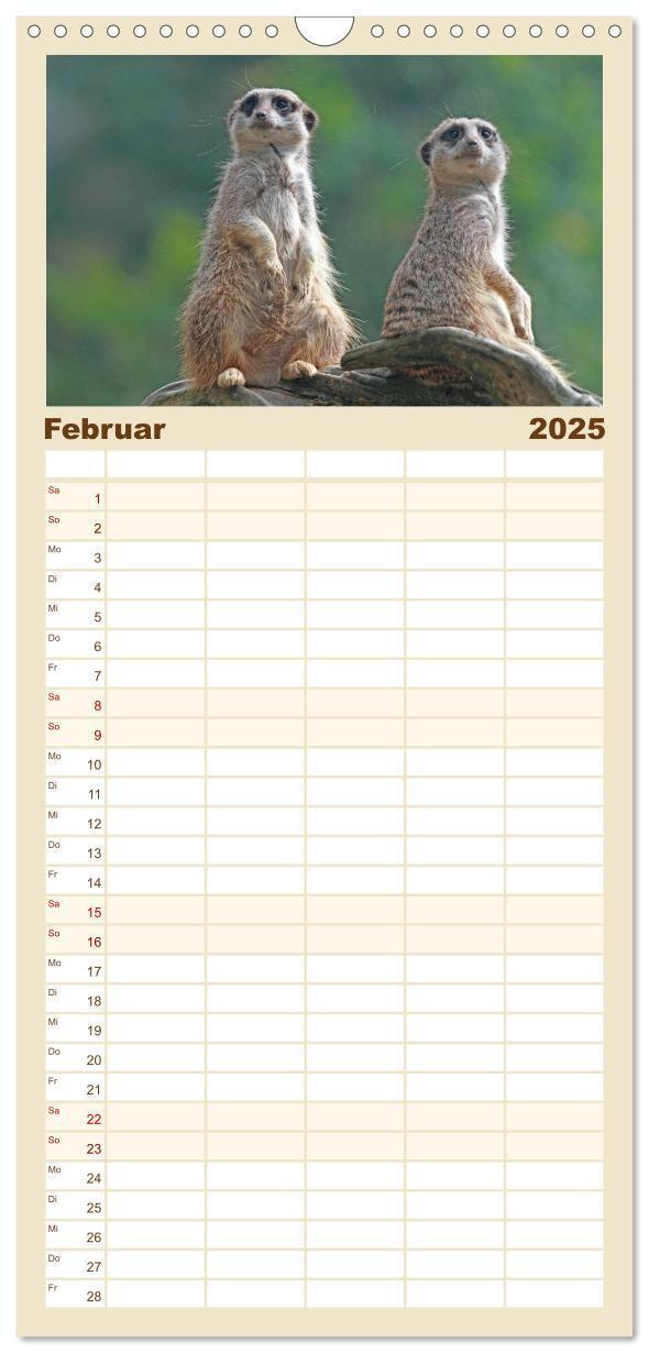 Bild: 9783457110782 | Familienplaner 2025 - Erdmännchen mit 5 Spalten (Wandkalender, 21 x...