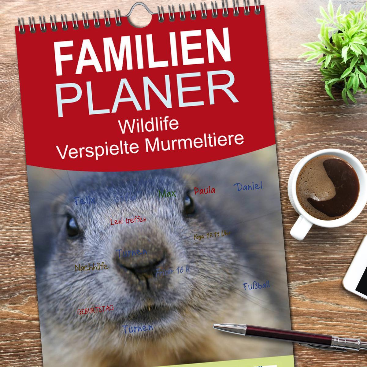 Bild: 9783457117873 | Familienplaner 2025 - Wildlife - Verspielte Murmeltiere mit 5...