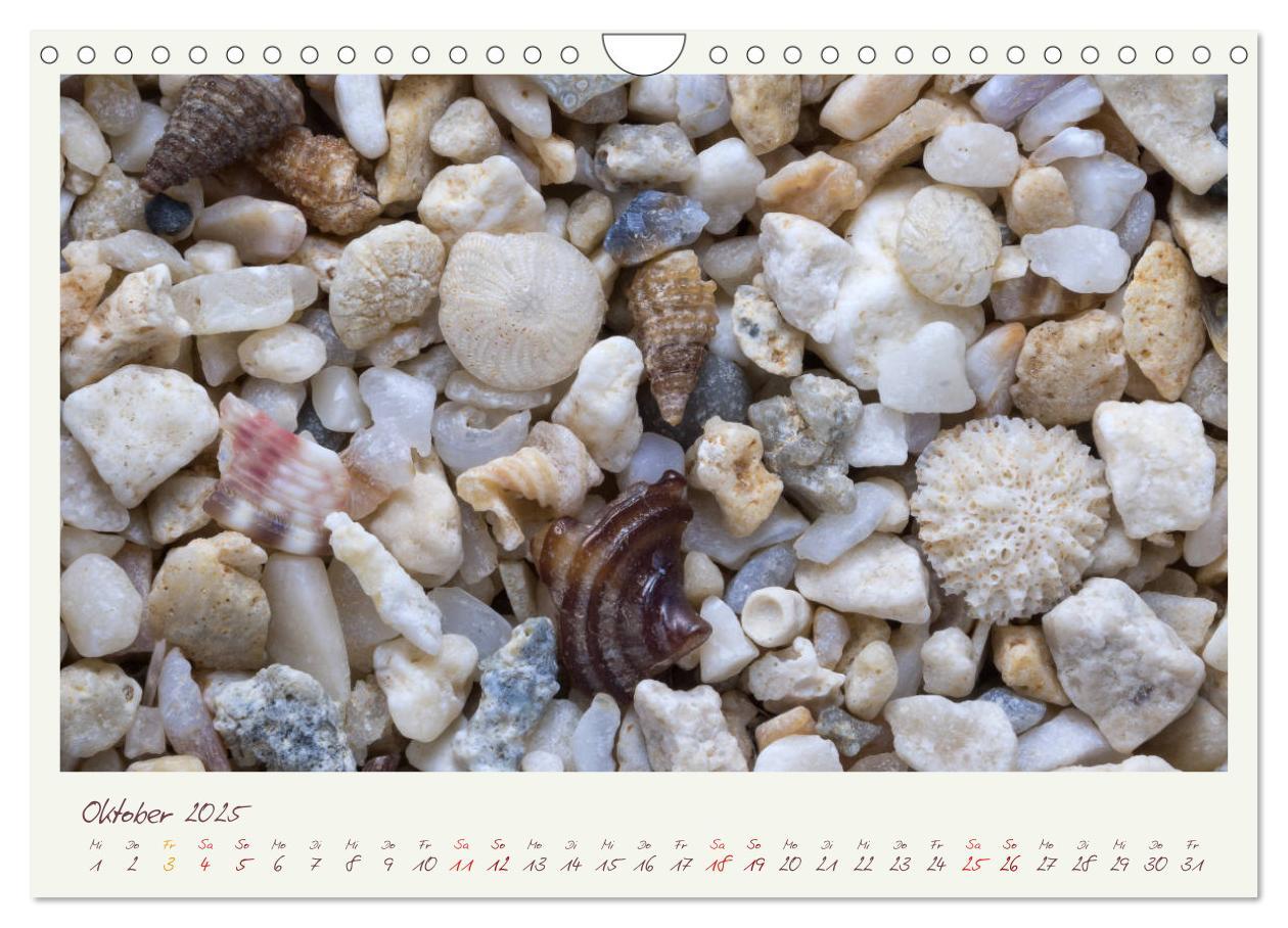 Bild: 9783435135479 | Abenteuer Mikrofotografie Sand (Wandkalender 2025 DIN A4 quer),...