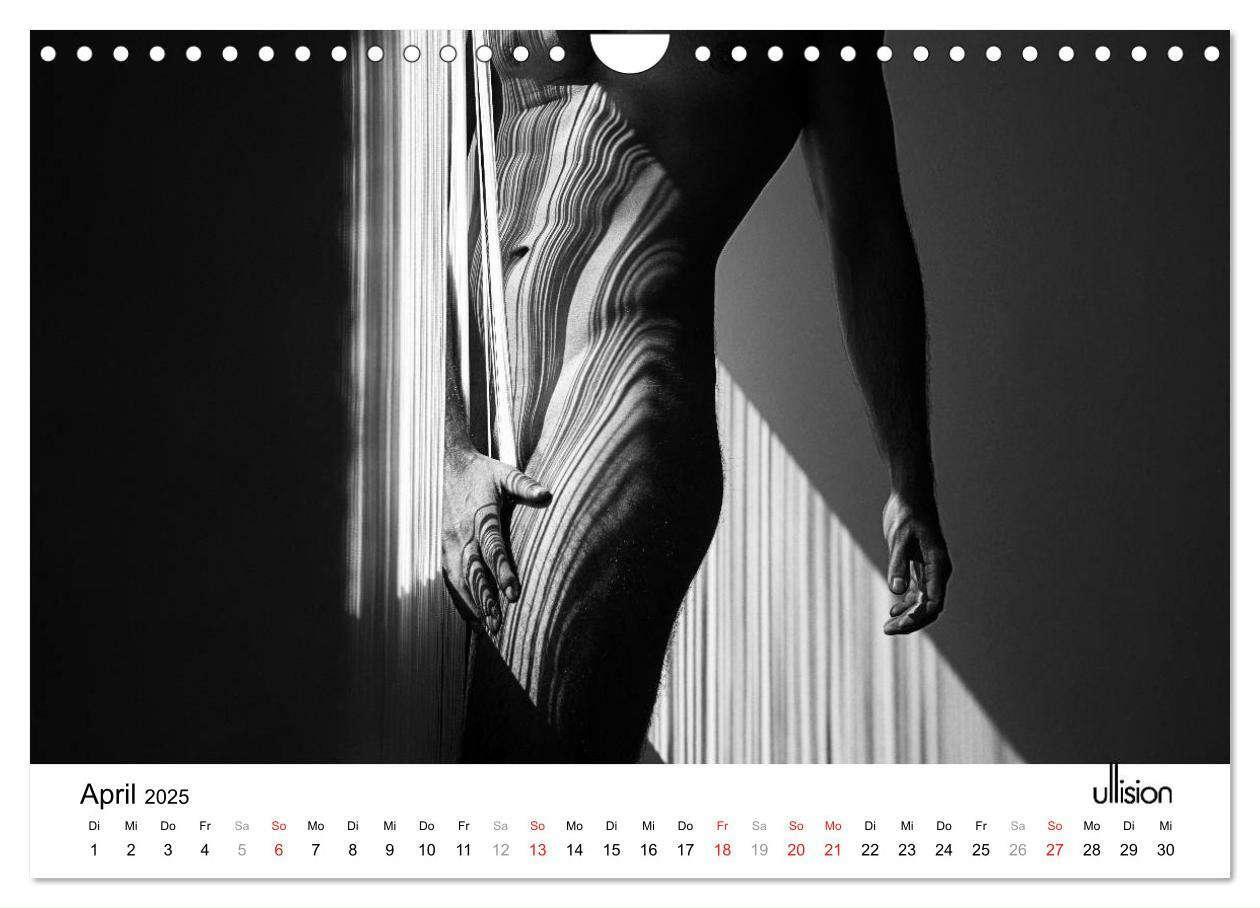 Bild: 9783435566112 | Männer AKT Art (Wandkalender 2025 DIN A4 quer), CALVENDO...