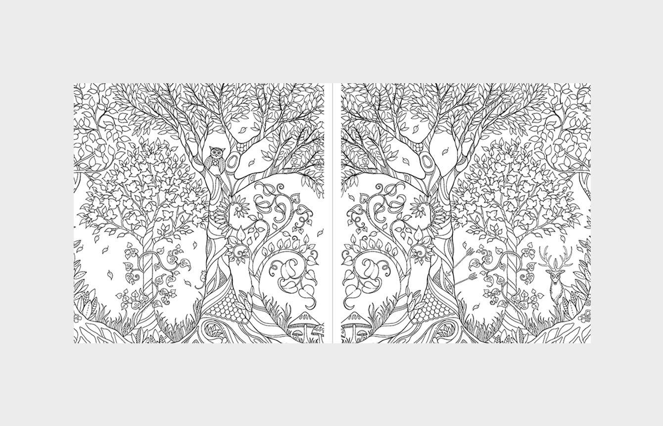 Bild: 9781786279125 | Miniature Enchanted Forest | A Pocket-Sized Adventure Coloring Book