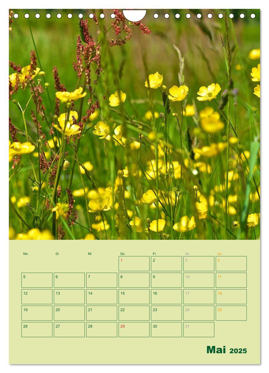 Bild: 9783457055540 | Wald- und Wiesenkalender 2025 Planer (Wandkalender 2025 DIN A4...