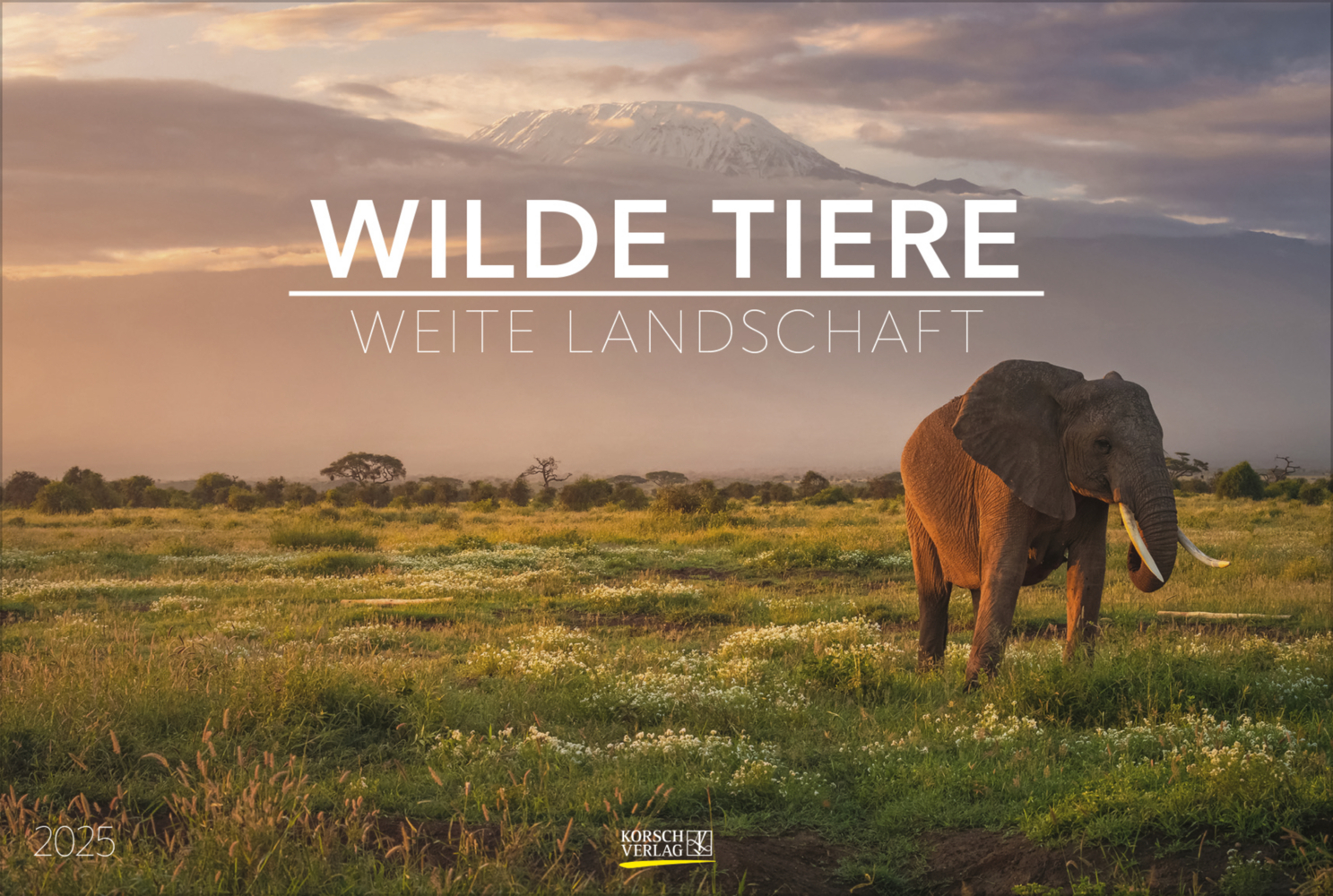 Cover: 9783731880073 | Wilde Tiere - weite Landschaft 2025 | Korsch Verlag | Kalender | 14 S.