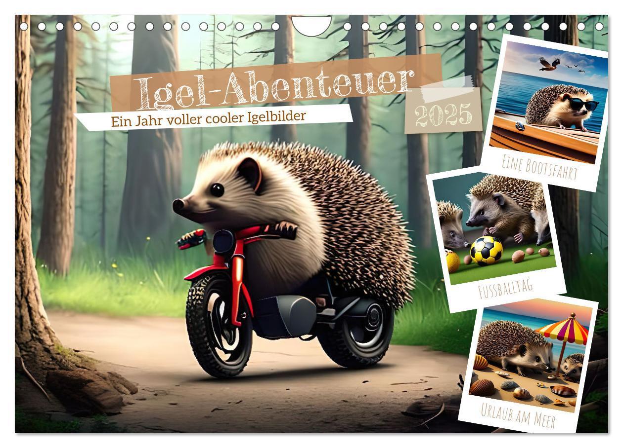 Cover: 9783383868696 | Igel-Abenteuer (Wandkalender 2025 DIN A4 quer), CALVENDO...