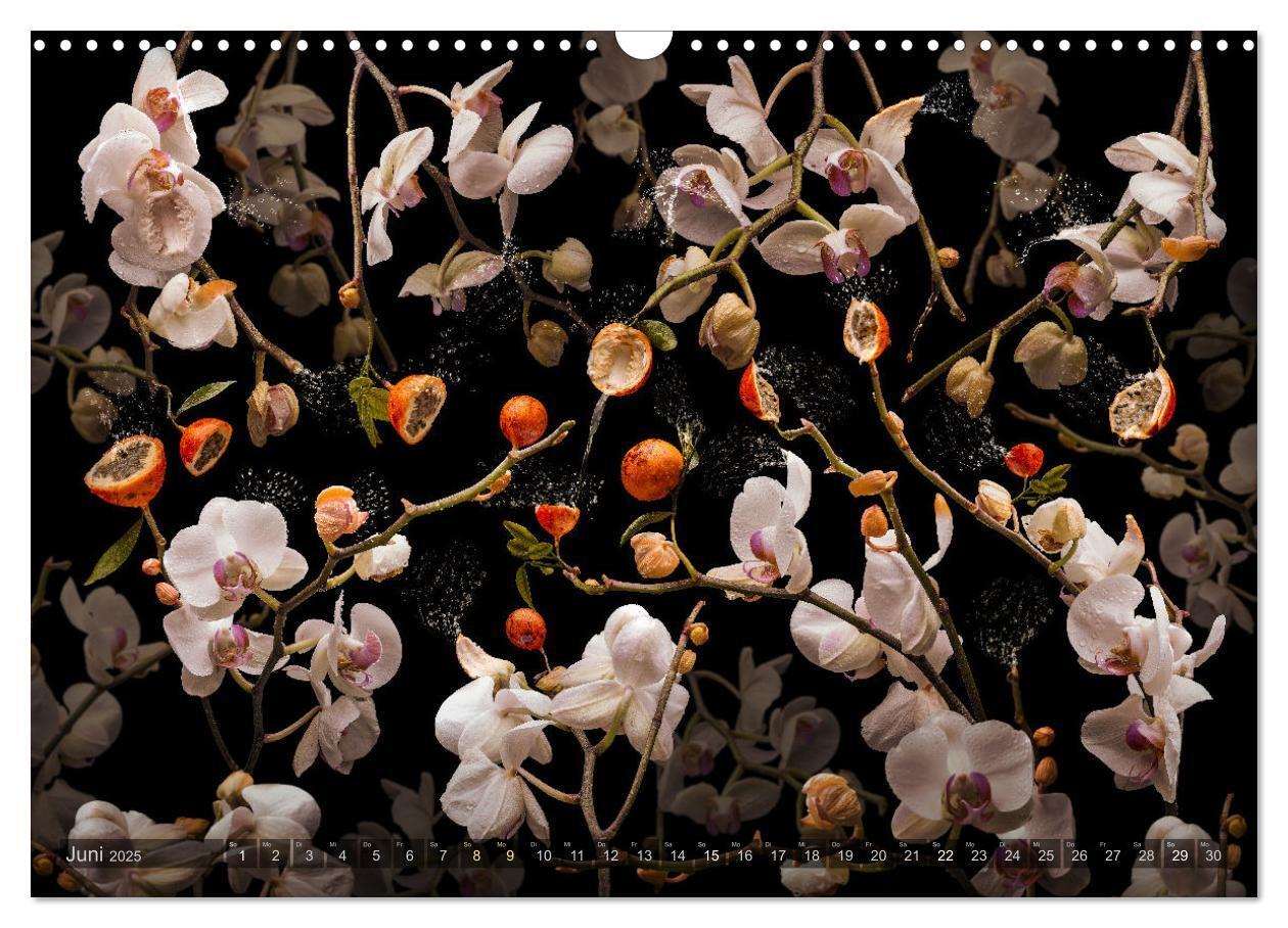 Bild: 9783383852251 | Orchidea (Wandkalender 2025 DIN A3 quer), CALVENDO Monatskalender