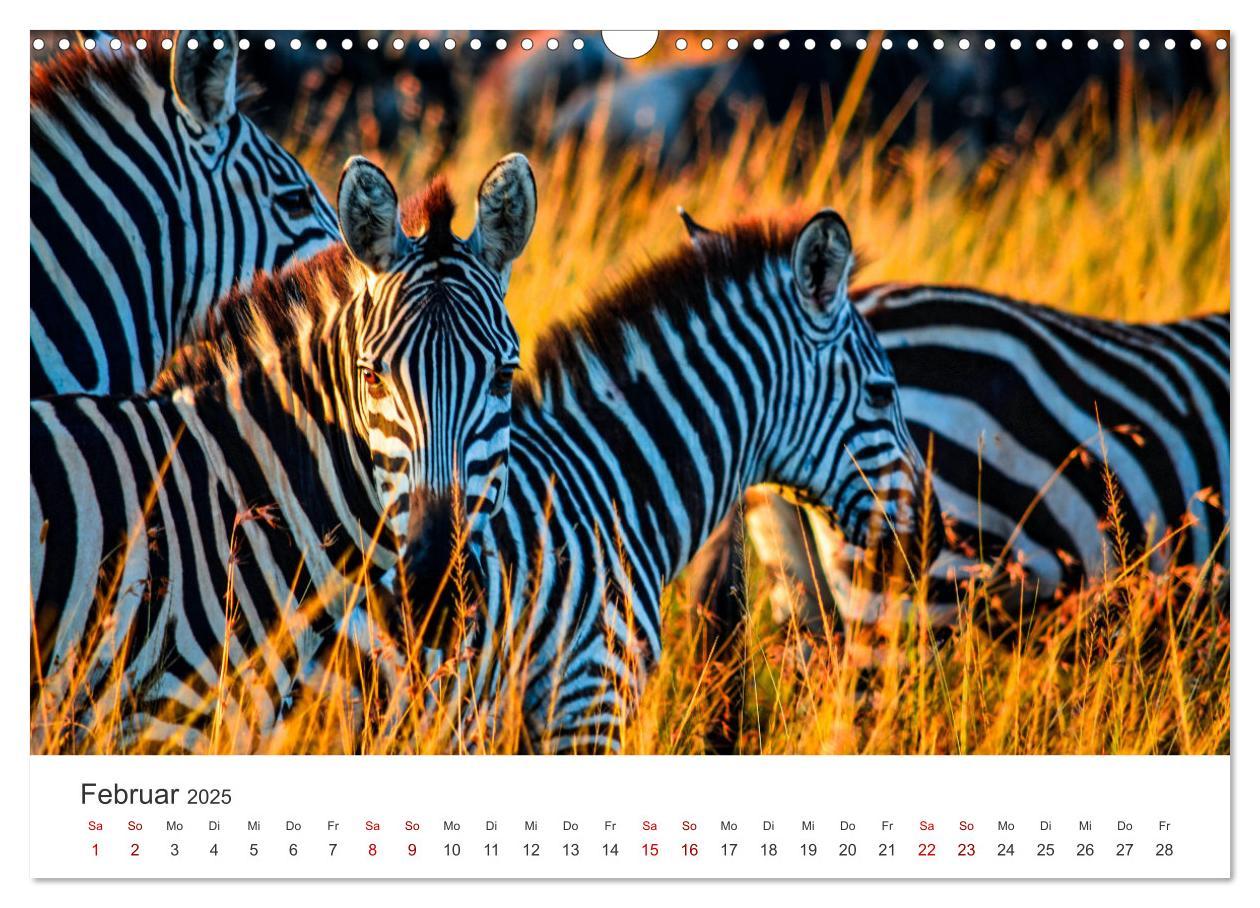 Bild: 9783435002733 | Kenia - Eine Safari durch unberührte Natur. (Wandkalender 2025 DIN...