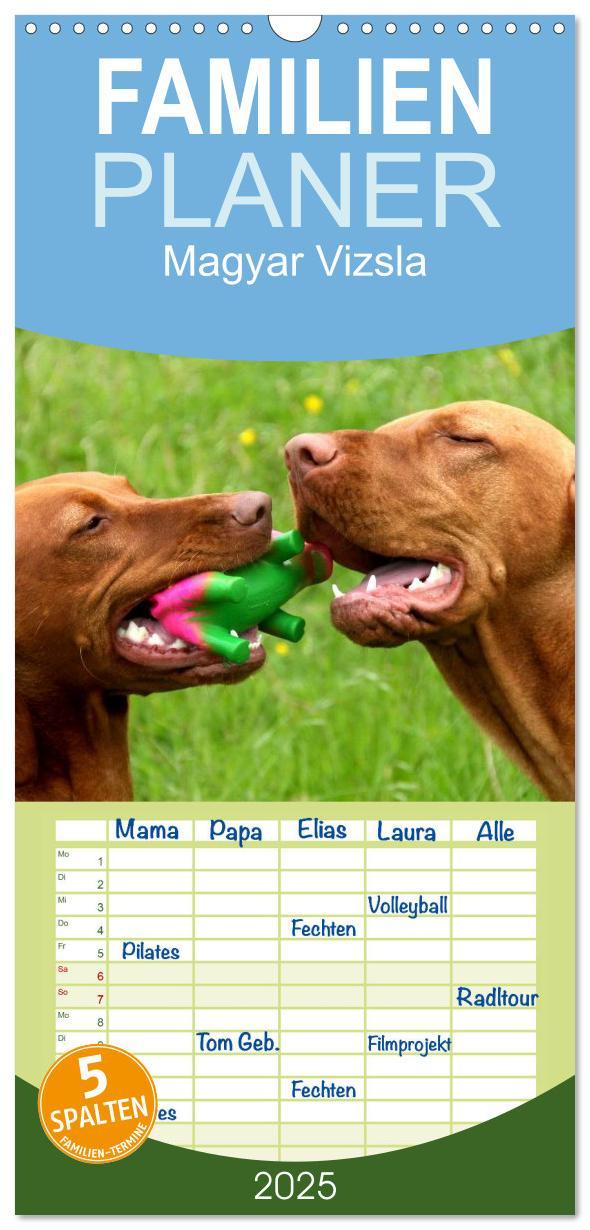 Cover: 9783457119815 | Familienplaner 2025 - Magyar Vizsla mit 5 Spalten (Wandkalender, 21...