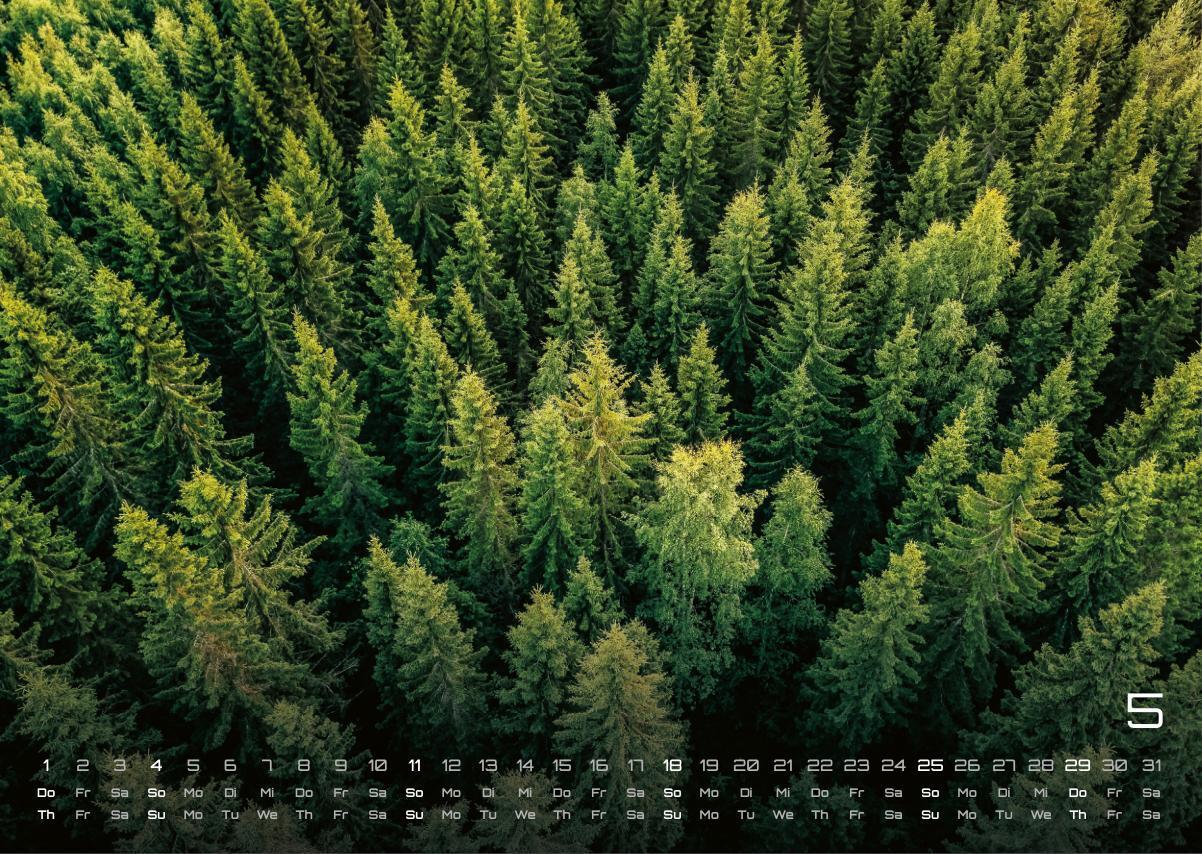 Bild: 9783986734480 | Wald - Erholung für Mensch und Tier - 2025 - Kalender DIN A3 | 15 S.