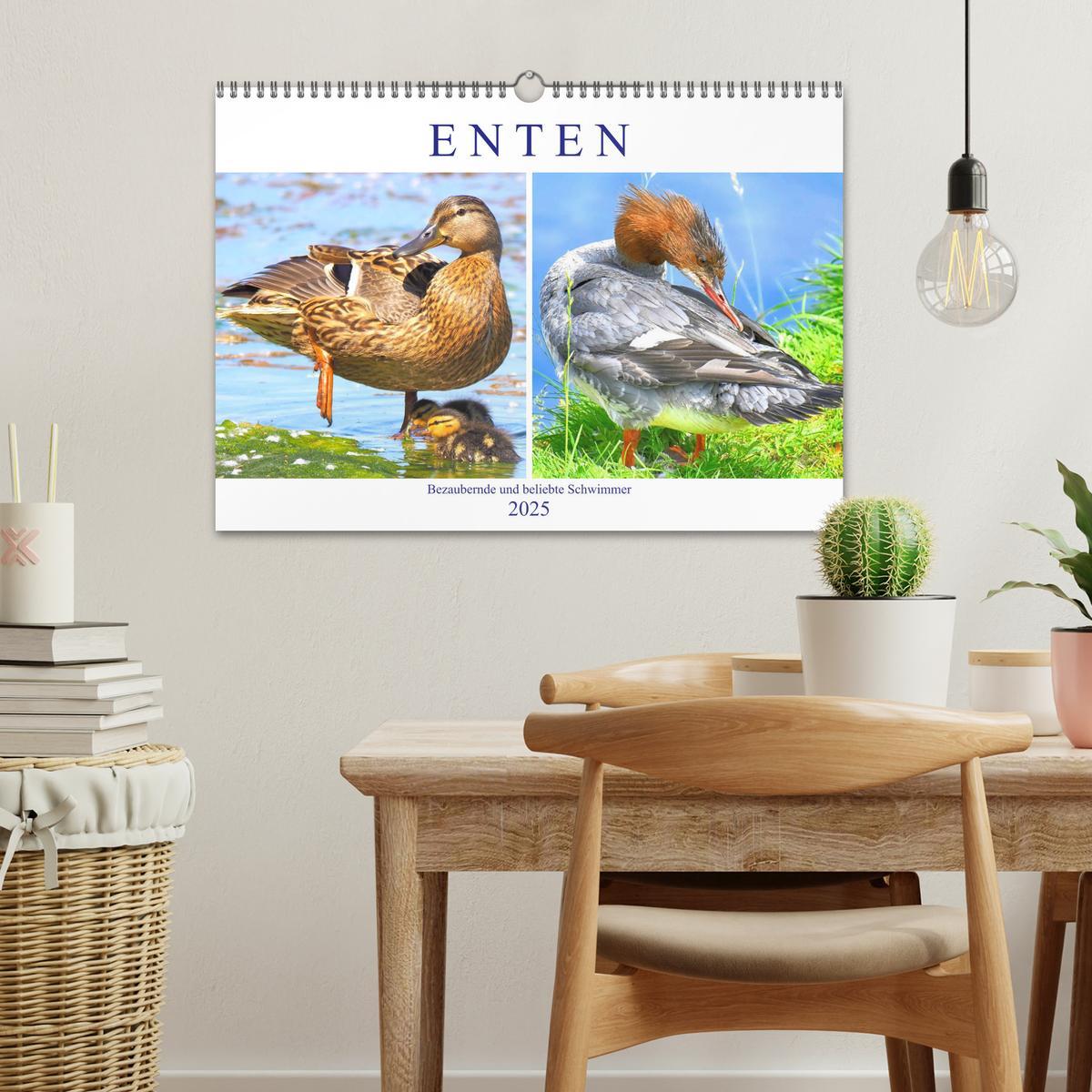 Bild: 9783435178704 | Enten. Bezaubernde und beliebte Schwimmer (Wandkalender 2025 DIN A3...