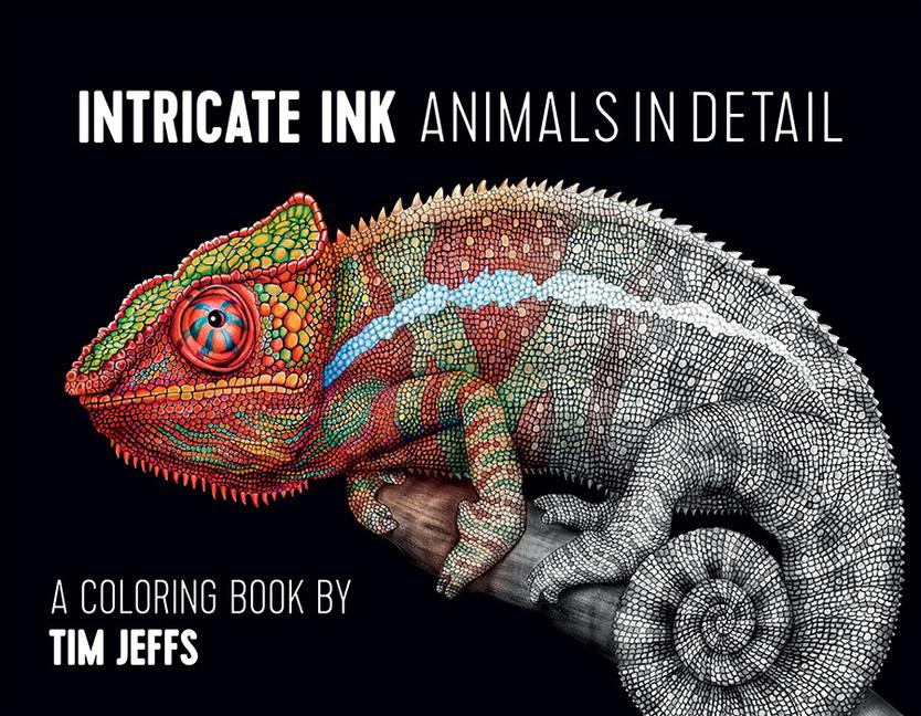 Cover: 9780764974694 | CBA Jeffs/Intricate Ink | Tim Jeffs | Buch | Gebunden | Englisch