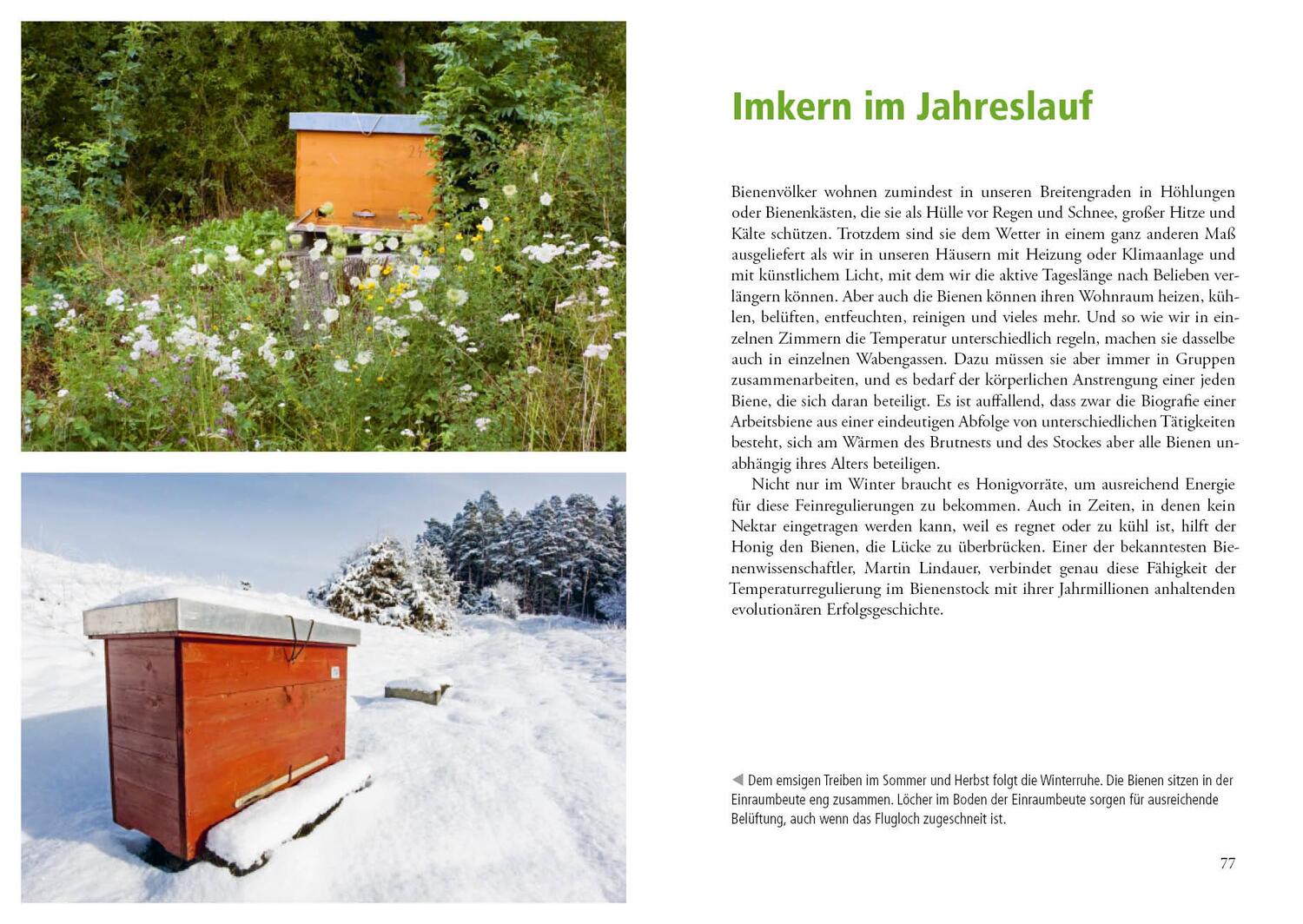 Bild: 9783895664021 | Imkern mit der Einraumbeute | Johannes Wirz (u. a.) | Buch | 176 S.