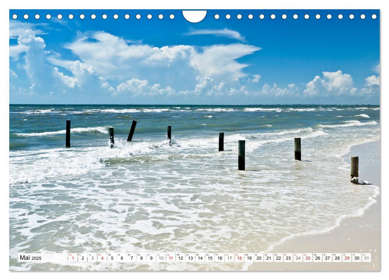 Bild: 9783435820283 | FLORIDA Malerischer Sonnenscheinstaat (Wandkalender 2025 DIN A4...