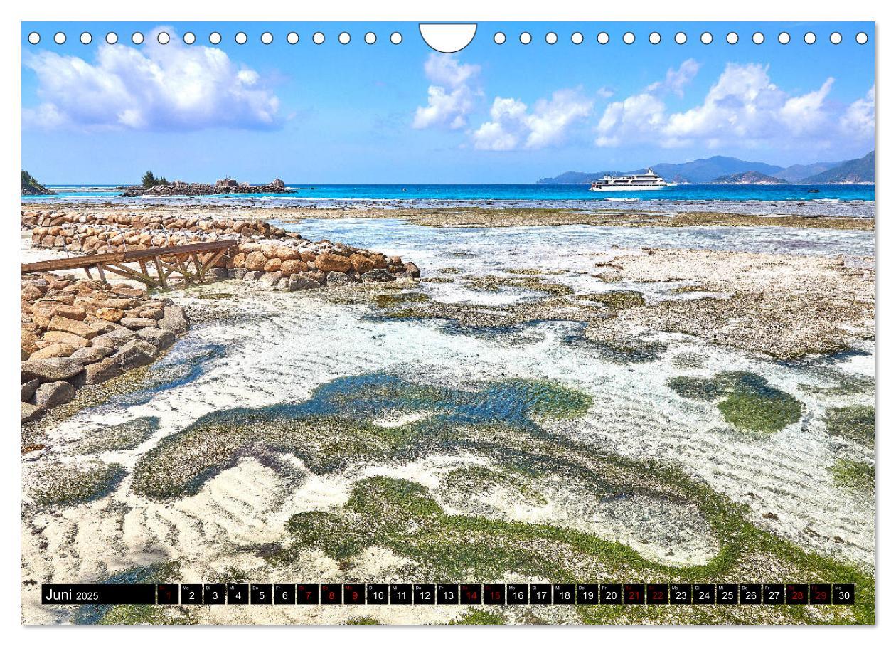 Bild: 9783435299508 | Seychellen Paradies 2025 (Wandkalender 2025 DIN A4 quer), CALVENDO...