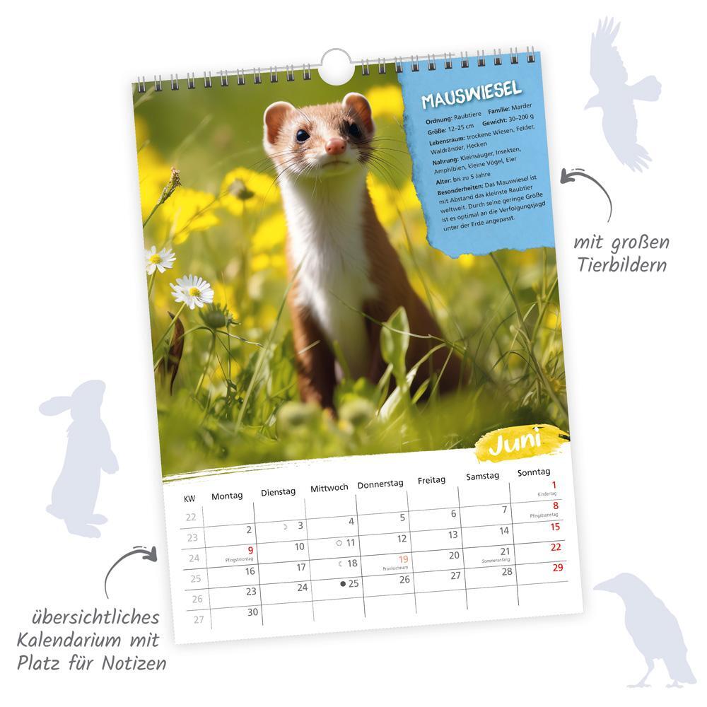 Bild: 9783988021984 | Trötsch Classickalender Heimische Tierwelt 2025 | Wandkalender | KG