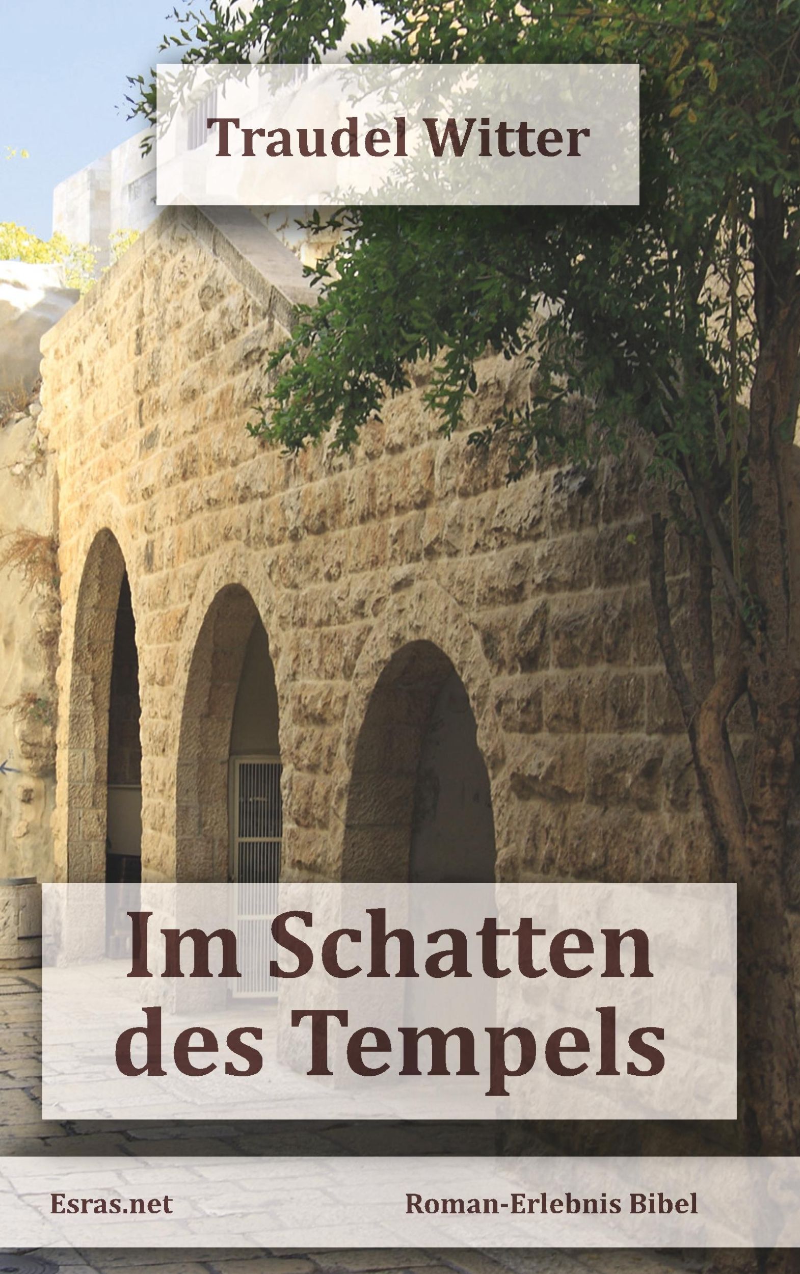 Cover: 9783038900184 | Im Schatten des Tempels | Traudel Witter | Taschenbuch | 324 S. | 2018