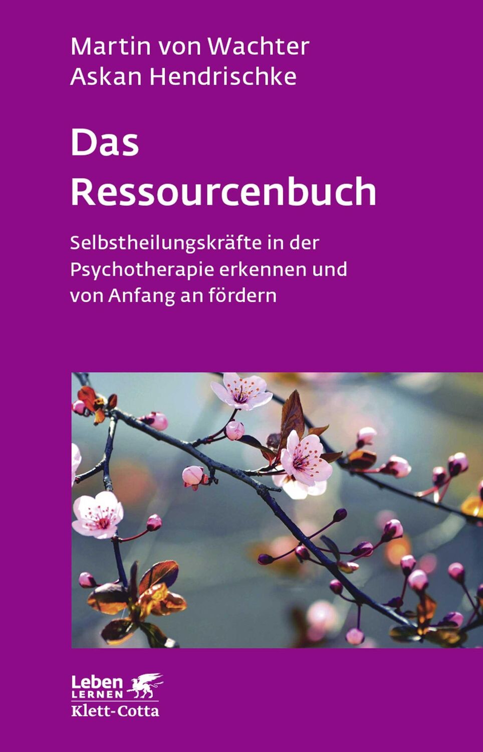 Cover: 9783608891737 | Das Ressourcenbuch | Martin von Wachter (u. a.) | Taschenbuch | 177 S.