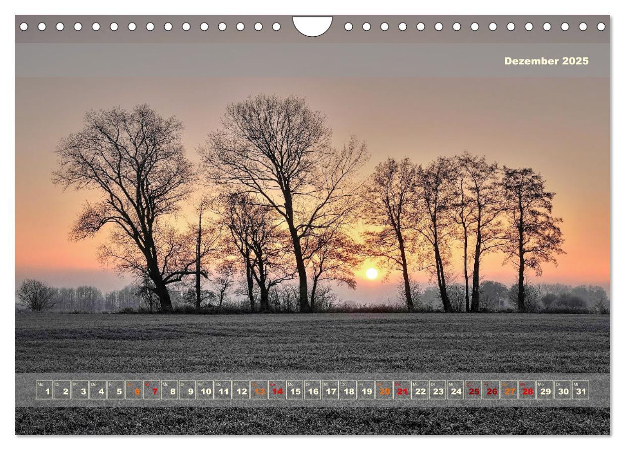 Bild: 9783383839801 | Licht im Land (Wandkalender 2025 DIN A4 quer), CALVENDO Monatskalender