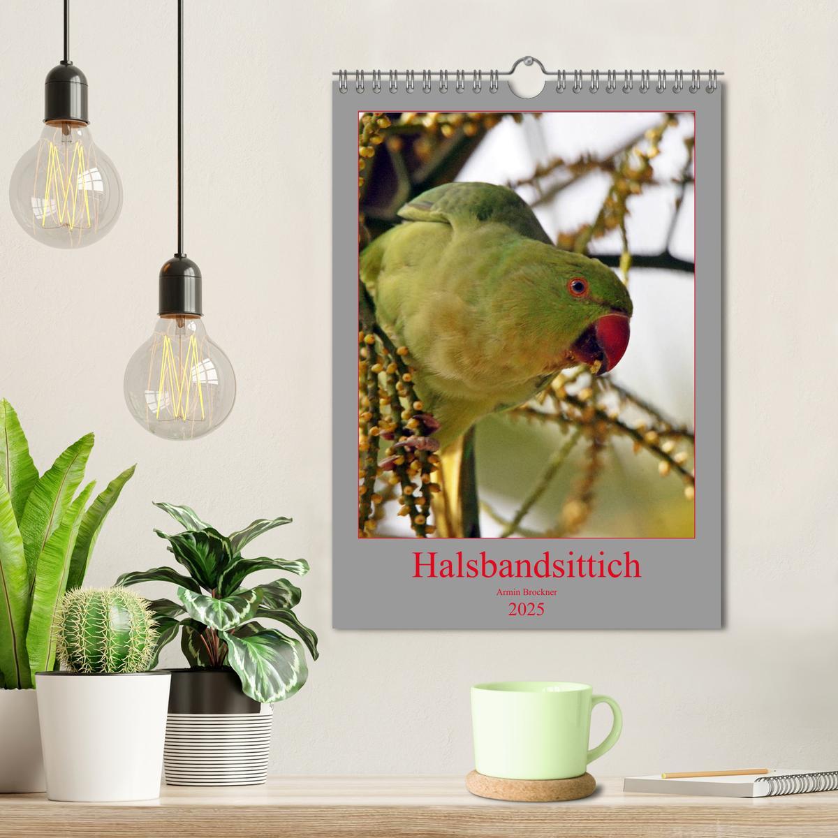 Bild: 9783457001431 | Halsbandsittich (Wandkalender 2025 DIN A4 hoch), CALVENDO...