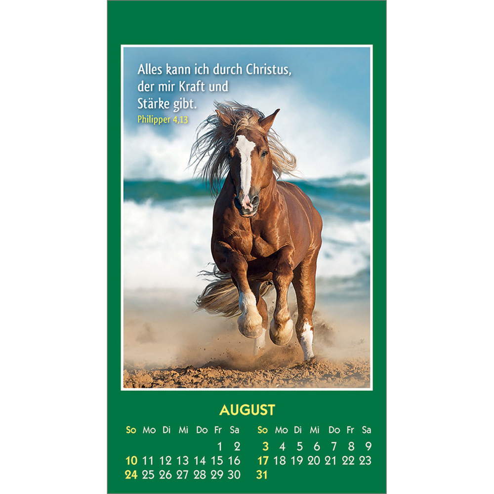 Bild: 9783754893555 | Hallo Du 2025 | Mini-Aufkleber-Kalender | Kalender | 14 S. | Deutsch