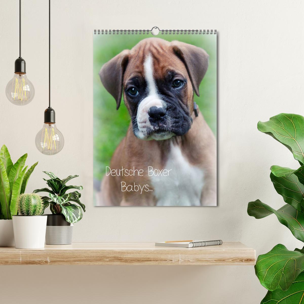 Bild: 9783457025741 | Deutsche Boxer Babys... (Wandkalender 2025 DIN A3 hoch), CALVENDO...