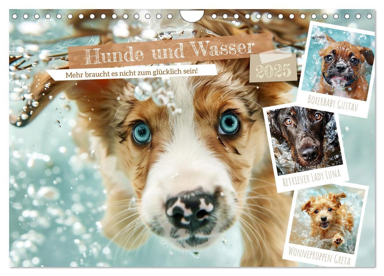 Cover: 9783457129227 | Hunde und Wasser (Wandkalender 2025 DIN A4 quer), CALVENDO...