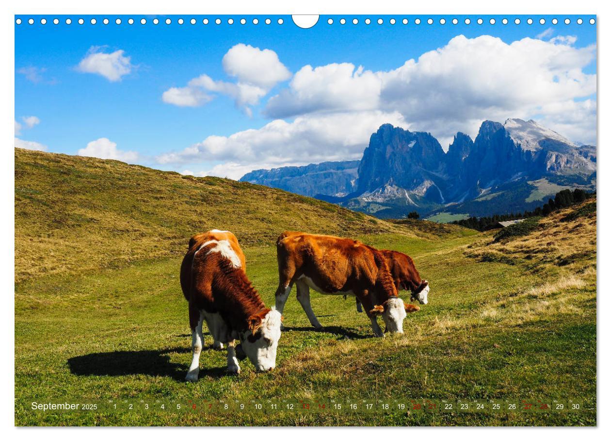 Bild: 9783435127115 | Sehnsucht Seiser Alm (Wandkalender 2025 DIN A3 quer), CALVENDO...