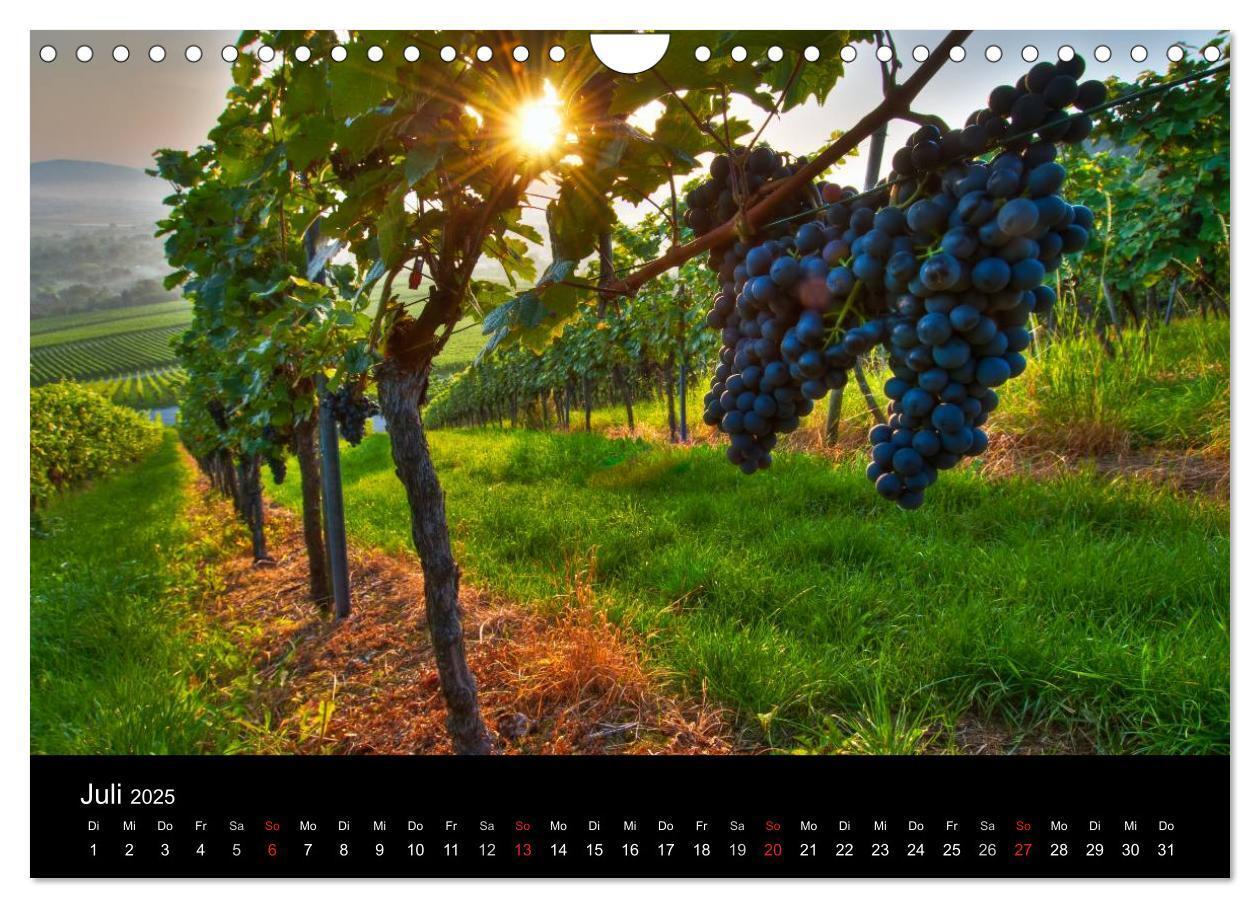 Bild: 9783435718948 | Weinberge im Remstal (Wandkalender 2025 DIN A4 quer), CALVENDO...