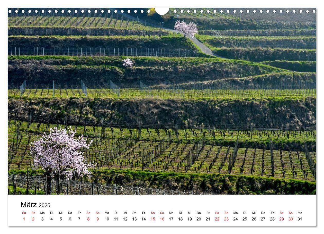 Bild: 9783435593668 | Impressionen vom Kaiserstuhl (Wandkalender 2025 DIN A3 quer),...