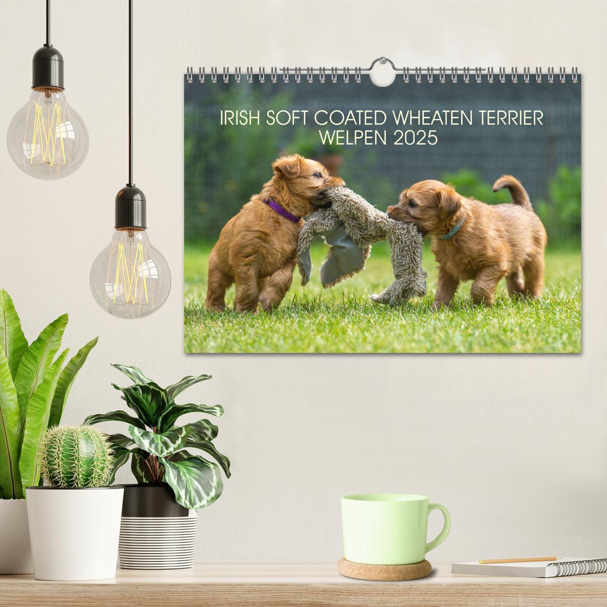 Bild: 9783435047277 | IRISH SOFT COATED WHEATEN TERRIER WELPEN 2025 (Wandkalender 2025...