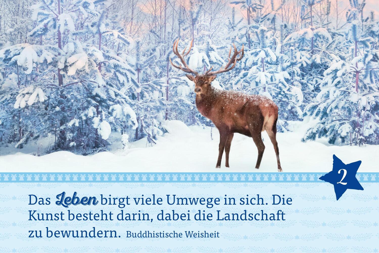 Bild: 9783451034831 | Hosentaschenadventskalender 2024 | Mit farbigen Fotos | Kalender