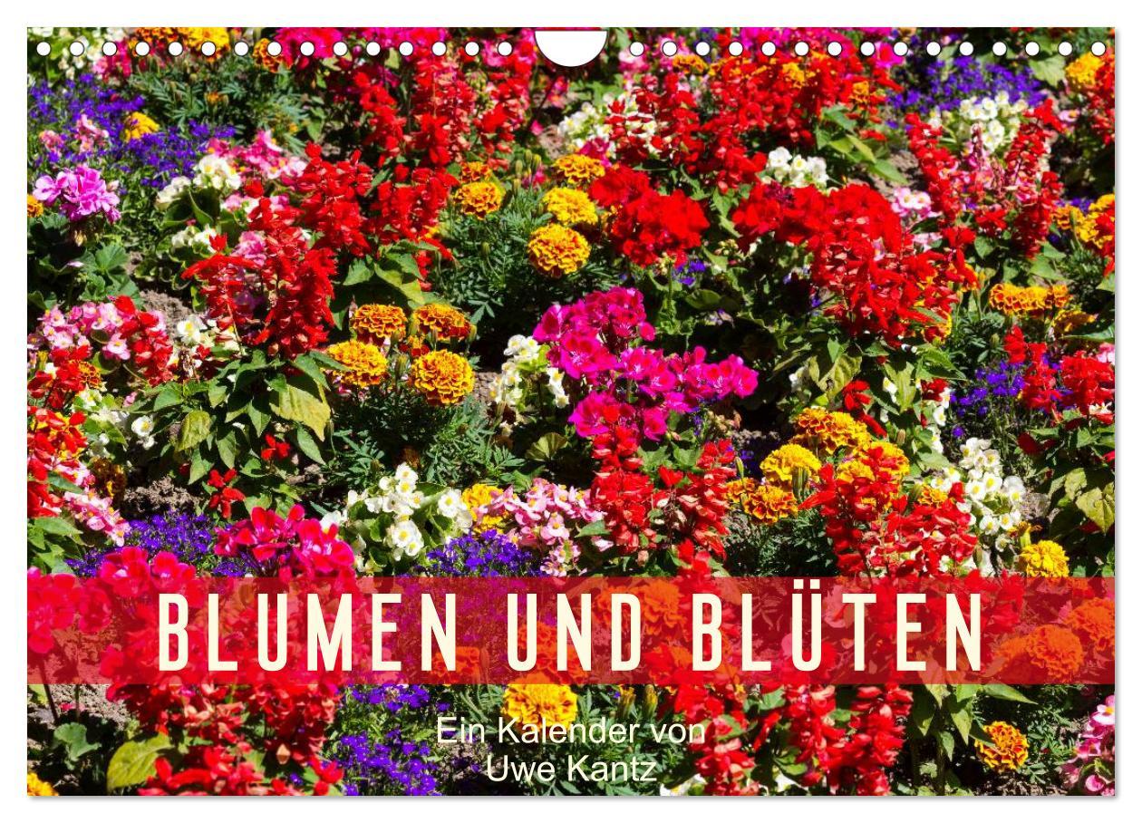 Cover: 9783435663613 | Blumen und Blüten (Wandkalender 2025 DIN A4 quer), CALVENDO...