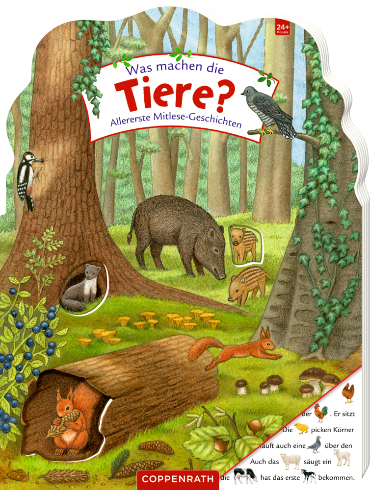 Cover: 9783649637349 | Was machen die Tiere? | Allererste Mitlese-Geschichten | Brauer | Buch