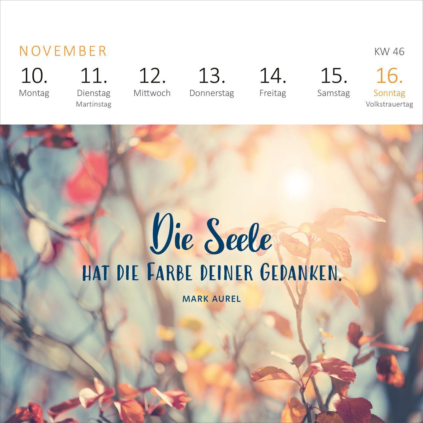 Bild: 4014489133070 | Mini-Wochenkalender Ein Jahr voll Glück 2025 | Kalender | 108 S.