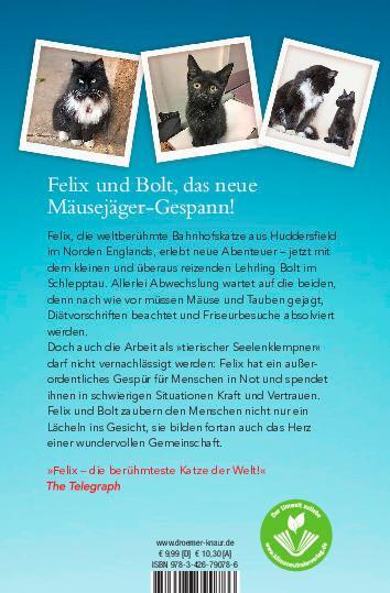 Rückseite: 9783426790786 | Mit Volldampf voraus, Felix! | Kate Moore | Taschenbuch | Paperback