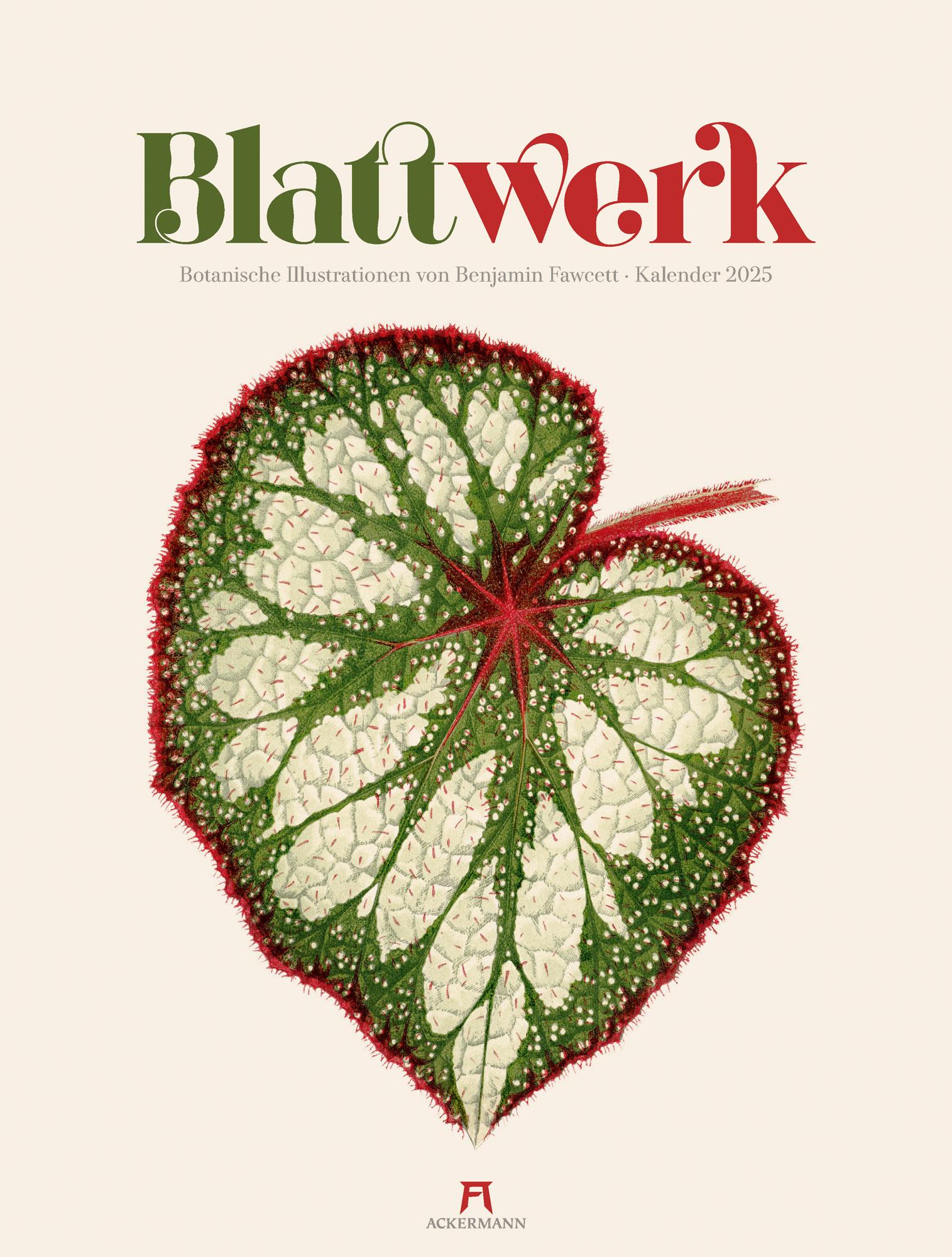 Cover: 9783838425177 | Blattwerk - Botanische Illustrationen 2025 | Benjamin Fawcett | 14 S.