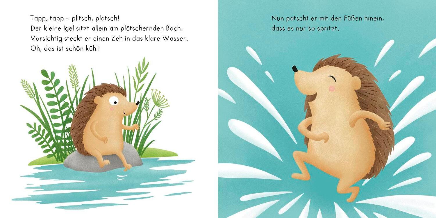 Bild: 9783737357678 | Igelchen findet Freunde | Sandra Grimm | Buch | 16 S. | Deutsch | 2022