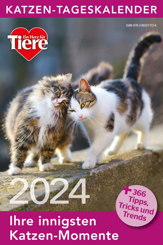 Cover: 9783865171726 | Katzen Tageskalender 2024 | Kalender | Geblockt | Deutsch | 2024