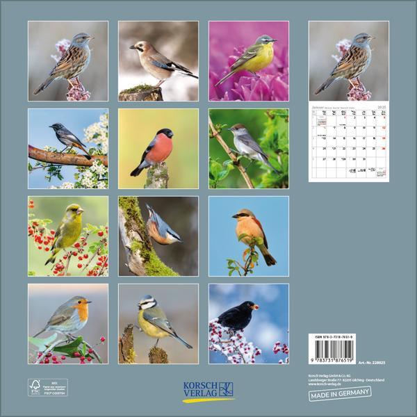 Bild: 9783731876519 | Vögel 2025 | Verlag Korsch | Kalender | 13 S. | Deutsch | 2025